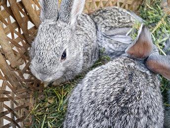 《赛博朋克2077》续作或加入多人元素 处于概念设计阶段